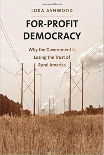 For-Profit Democracy