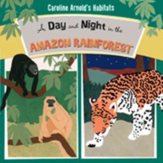 A Day and Night in the Amazon Rainforest