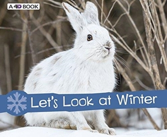 Let's Look at Winter