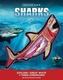 Inside Out Sharks