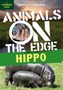 Hippo