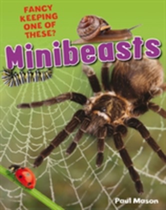 Minibeasts