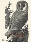 Charles Tunnicliffe