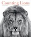 Counting Lions