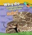 Why Do Snakes and Other Animals Have Scales?