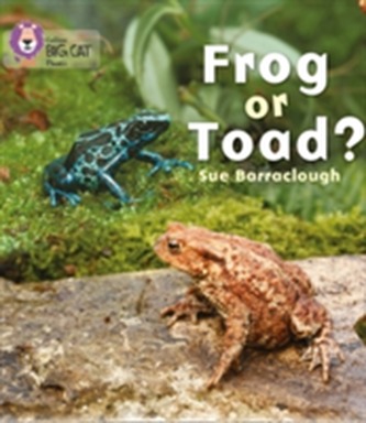 Frog or Toad?