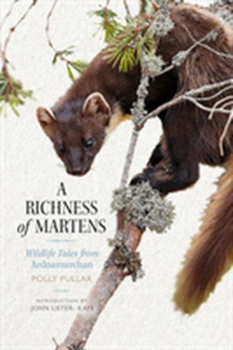 A Richness of Martens