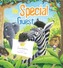 The Special Guest
