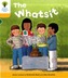 Oxford Reading Tree: Level 5: More Stories A: The Whatsit
