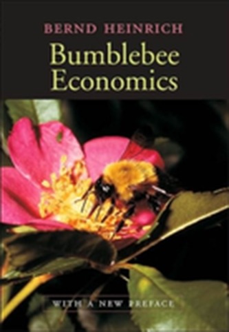 Bumblebee Economics