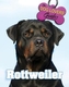 The Dog Lover's Guides