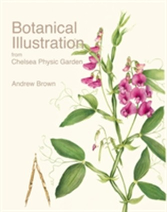 Botanical Illustratins from Chelsea Physic Garden