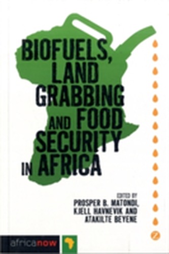 Biofuels, Land Grabbing and Food Security in Africa
