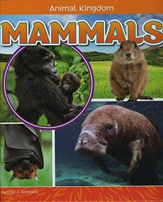 Mammals