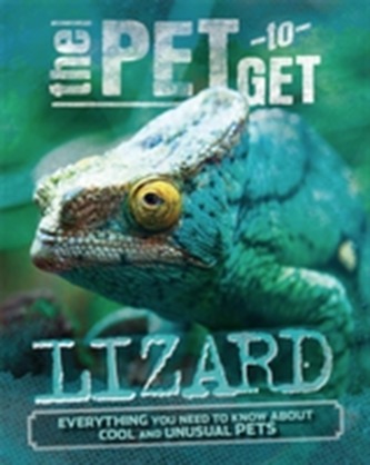 The Pet to Get: Lizard