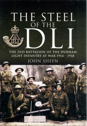 The Steel of the DLI (2nd Bn 1914/18)