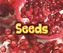 All About Seeds
