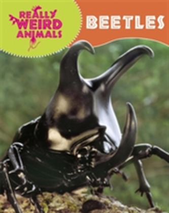 Really Weird Animals: Beetles
