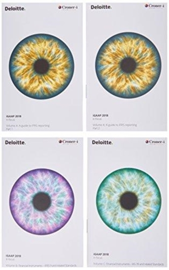 Deloitte International 2018 Pack