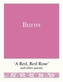 Burns