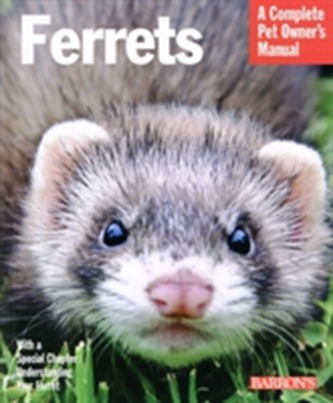 Ferrets