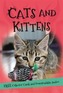 It's all about... Cats and Kittens