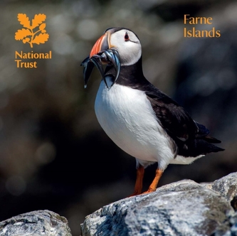 Farne Islands, Northumberland