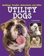 Bulldogs, Poodles, Dalmatians and Other Utility Dogs