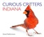 Curious Critters Indiana