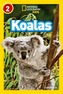 Koalas