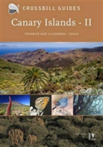 Canary Islands II
