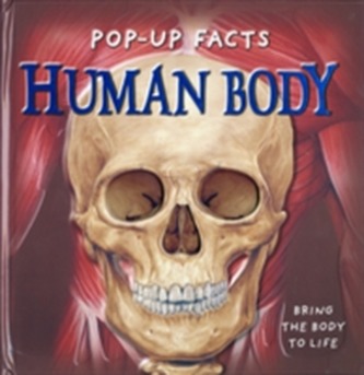 Pop-up Facts: Human Body