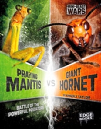 Praying Mantis vs Giant Hornet