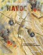 The Douglas A-20 Havoc