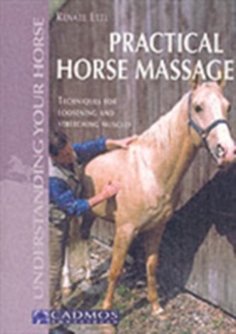 Practical Horse Massage