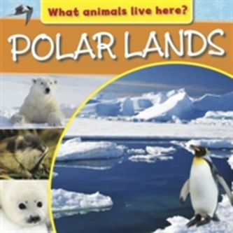 What Animals Live Here?: Polar Lands