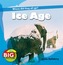 Ice Age