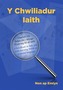 Chwiliadur Iaith, Y