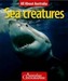 All About Australia: Sea Creatures
