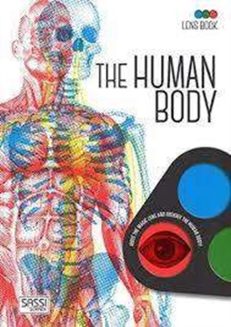 The Human Body