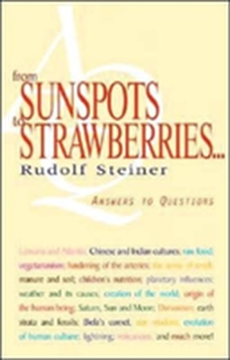 From Sunspots to Strawberries