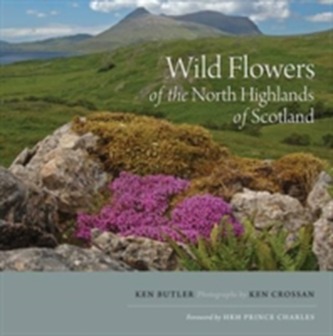 Wild Flowers of the North Highlands of Scotland