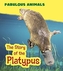 The Story of the Platypus