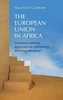 The European Union in Africa