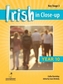 Irish in Close-Up: Key Stage 3 Year 10