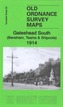 Gateshead South (Incl. Bensham, Teams & Shipcote)