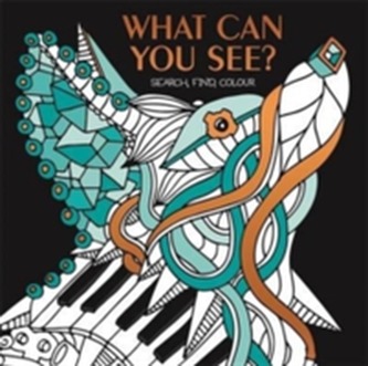 What Can You See?