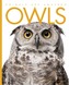 Animals Are Amazing: Owls