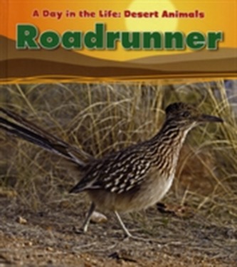 Roadrunner