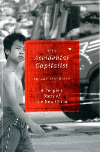 The Accidental Capitalist